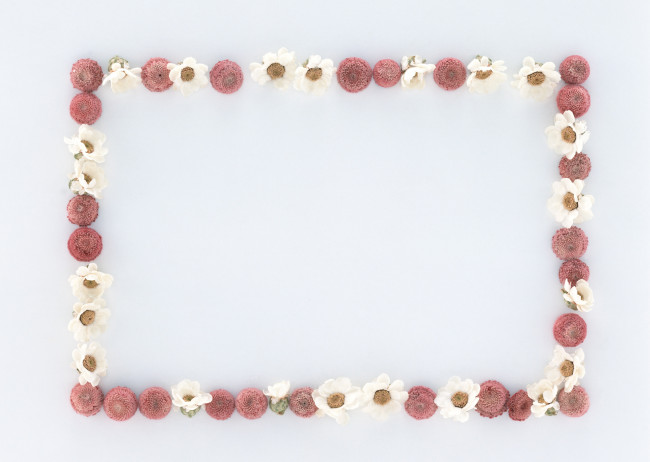 Обои картинки фото цветы, разные, вместе, бутоны