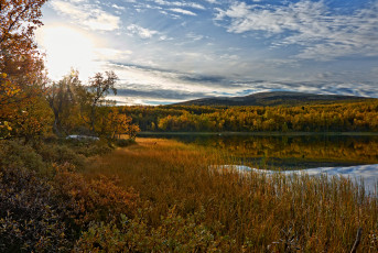 Картинка природа реки озера река лес