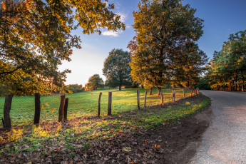 Картинка природа дороги шоссе