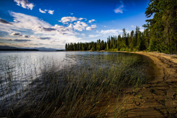 Картинка природа реки озера река лес