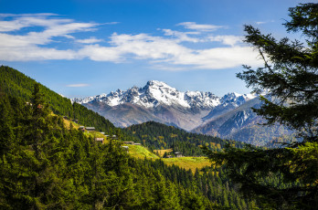 Картинка природа горы лес вершины