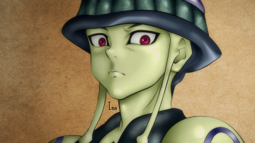 Картинка аниме hunter+x+hunter арт король меруэм