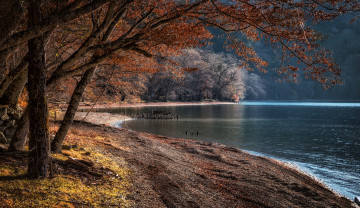 Картинка природа реки озера лес река