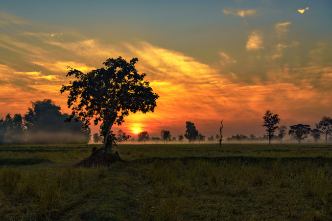 Обои картинки фото природа, восходы, закаты, рассвет