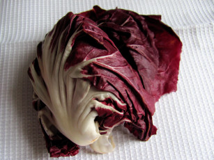 Картинка еда овощи салат