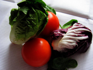 Картинка еда овощи салат помидоры томаты