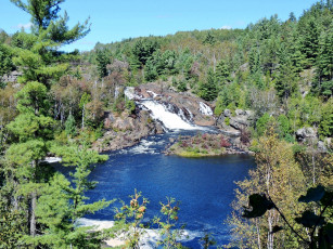 Картинка природа реки озера поток деревья вода