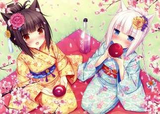 Картинка аниме nekopara фон взгляд девушки