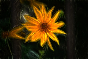 Картинка разное компьютерный+дизайн цветок