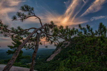 Картинка природа пейзажи простор