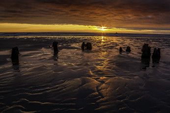 Картинка природа побережье рассвет