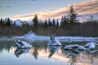 Картинка природа реки озера лес река