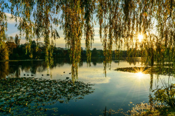 Картинка природа реки озера река лес