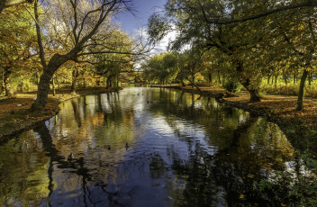 Картинка природа реки озера река лес