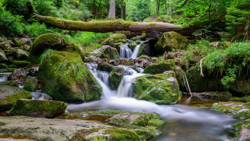 Картинка природа реки озера река лес