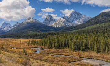 Картинка природа реки озера река лес