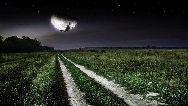 Обои картинки фото полёт на шабаш, разное, компьютерный дизайн, ночь, поле, ведьма, баба-яга, луна, звёзды