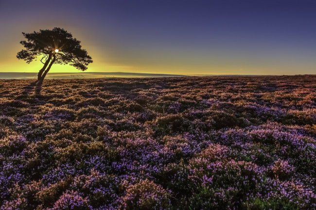 Обои картинки фото природа, пейзажи, рассвет