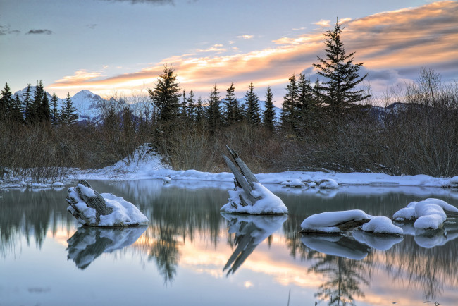 Обои картинки фото природа, реки, озера, лес, река