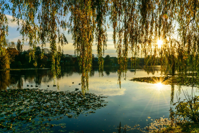 Обои картинки фото природа, реки, озера, река, лес