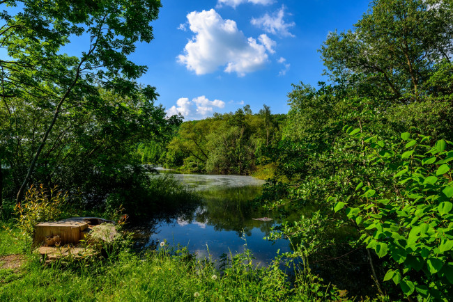 Обои картинки фото природа, реки, озера, река, лес