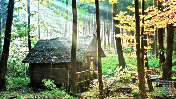 Картинка календари города деревья лес постройка 2018