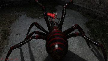 Картинка 3д+графика фантазия+ fantasy паук фон взгляд девушка