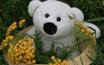 Картинка праздничные мягкие+игрушки медведь плюшевый