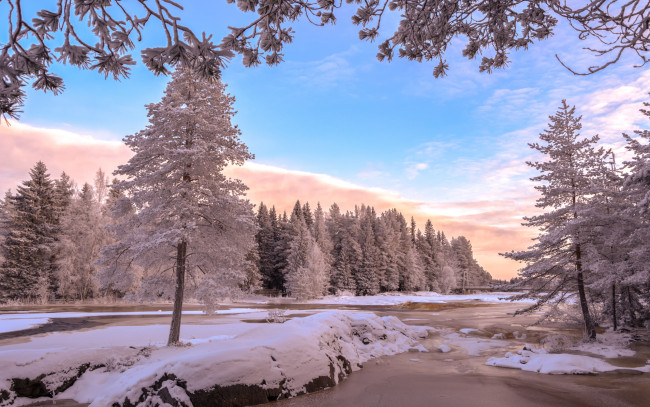 Обои картинки фото природа, зима, деревья, снег