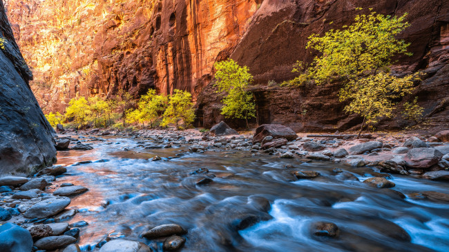 Обои картинки фото природа, реки, озера, национальный, парк, зайон, сша, юта