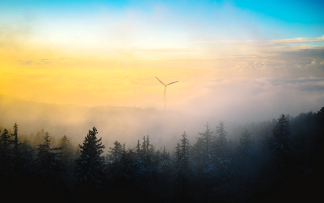 Обои картинки фото разное, ветрогенераторы, ветрогенератор, туман, лес