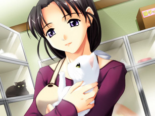 Картинка аниме *unknown другое