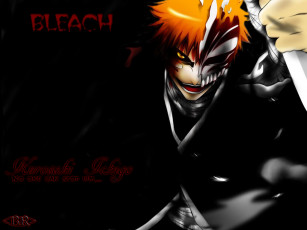 Картинка hichigo аниме bleach