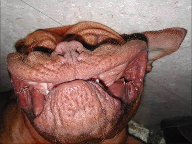 Обои картинки фото юмор, приколы