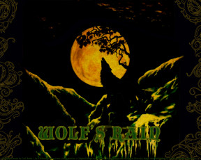 Картинка аниме wolf`s rain