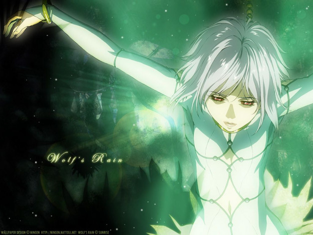 Обои картинки фото аниме, wolf`s, rain