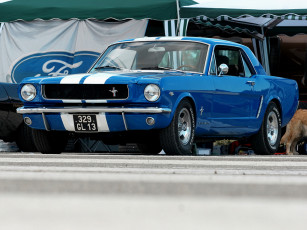 Картинка автомобили mustang