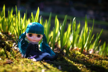 Картинка разное игрушки кукла трава