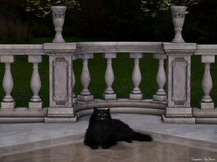 Картинка 3д графика animals животные midnight