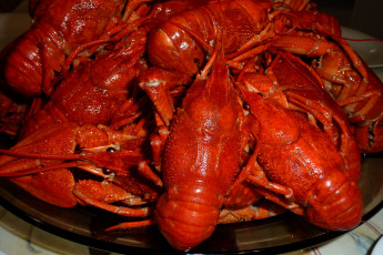 Картинка еда рыба +морепродукты +суши +роллы раки