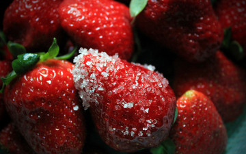 Картинка еда клубника +земляника ягоды