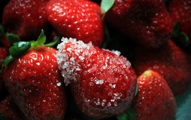 Обои картинки фото еда, клубника,  земляника, ягоды