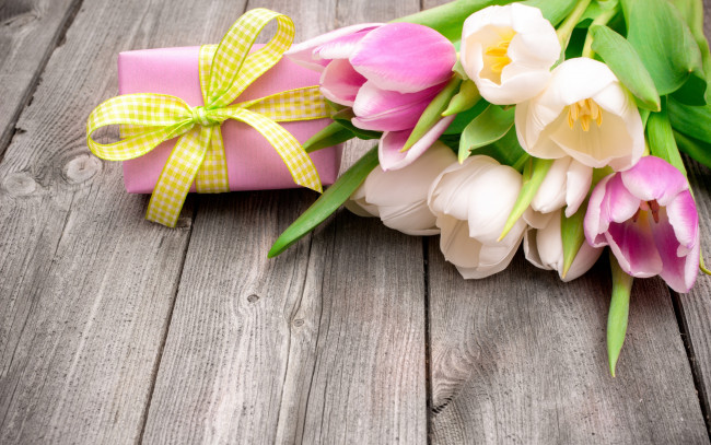 Обои картинки фото цветы, тюльпаны, бант, лента, подарок