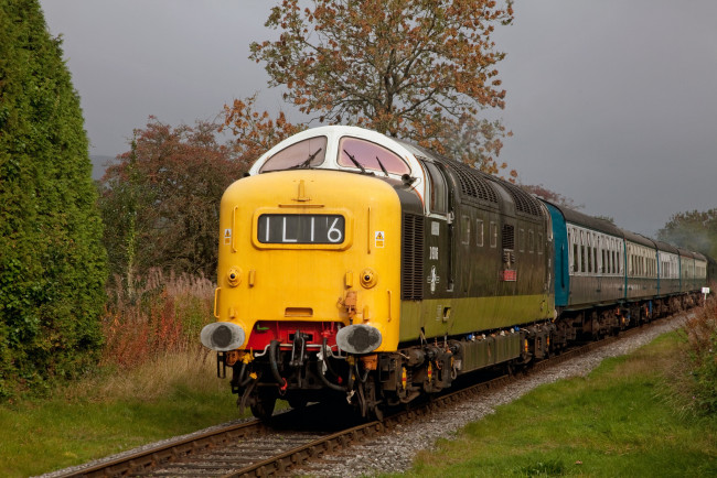 Обои картинки фото техника, поезда, железная, локомотив, дорога, состав