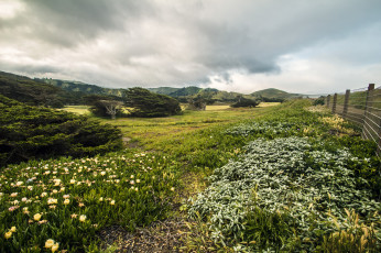 Картинка природа луга равнина