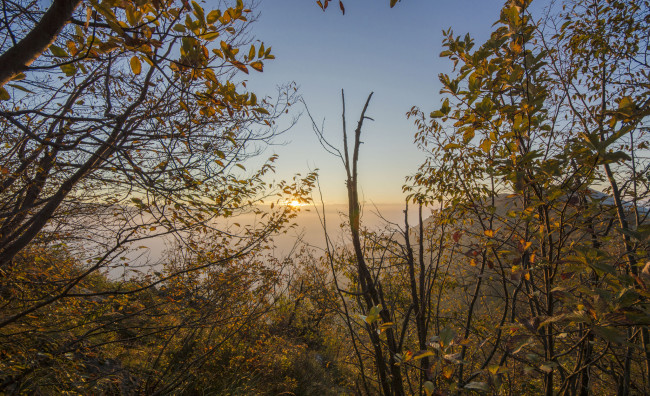 Обои картинки фото природа, восходы, закаты, рассвет