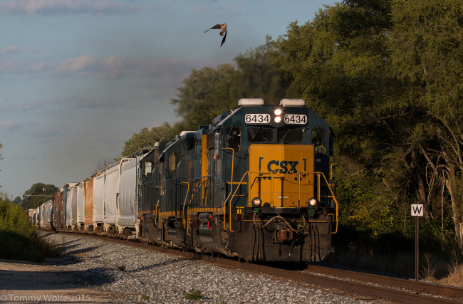 Обои картинки фото техника, поезда, состав, локомотив, рельсы