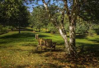 Картинка природа парк простор