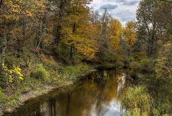 Картинка природа реки озера река лес