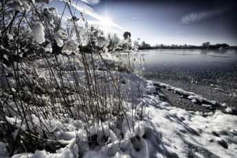 Картинка природа зима снег